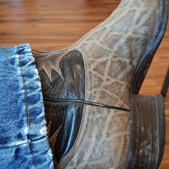 Meet your Posher, Bruce - Picture 1 of 1